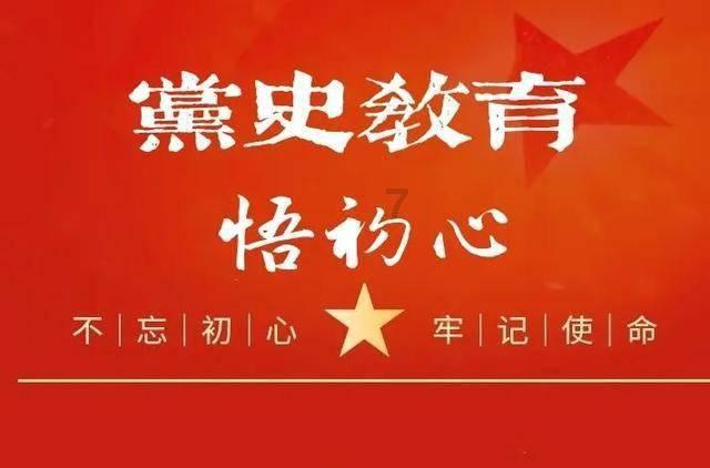 永善:单轨运输车助力脐橙出果园